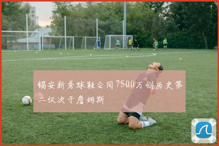 锡安新秀球鞋合同7500万创历史第二仅次于詹姆斯